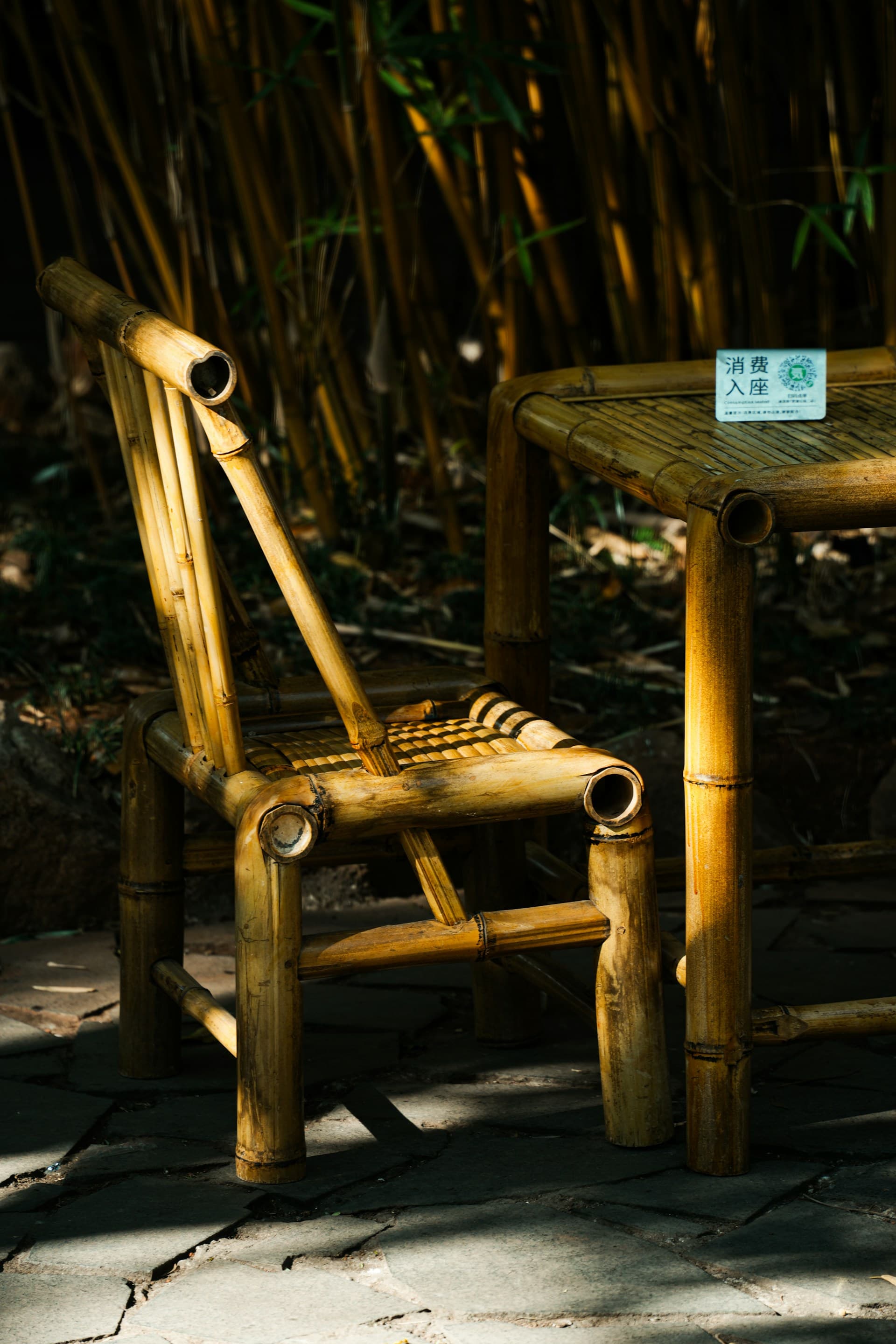 Bamboo Craft
